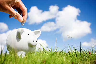image of a piggy bank outside